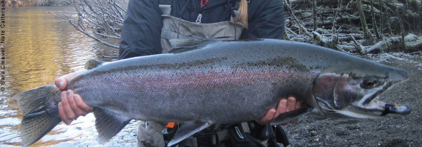 Situk River Cleaver