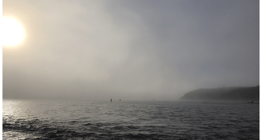 Foggy Swing Water