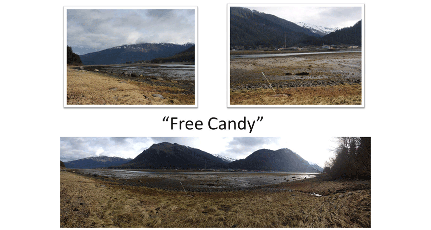 FreeCandyUpdate1