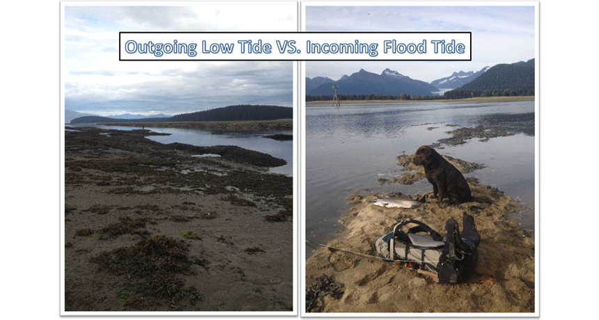 TidesUpdate