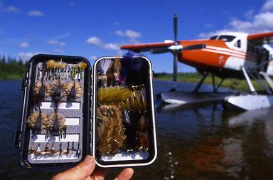 july_flies.jpg july_flies.jpg
