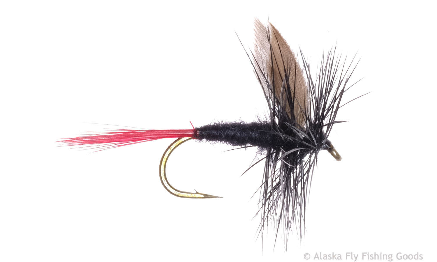 Black Gnat Red-Tail-Fishing Flies- — Big Y Fly Co