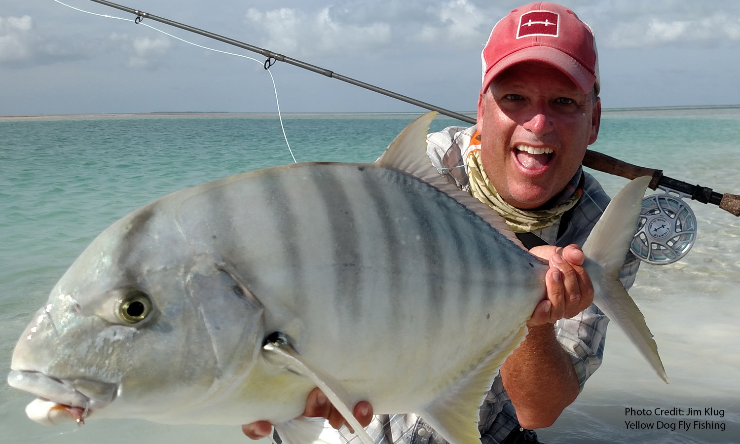 Christmas Island Article Trevally