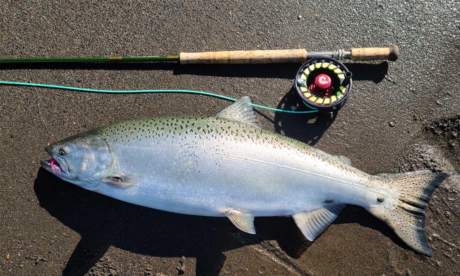 Fish Report 7-1-21 - Juneau - Alaska Fly Fishing Goods