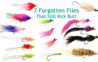 7 Forgotten Flies