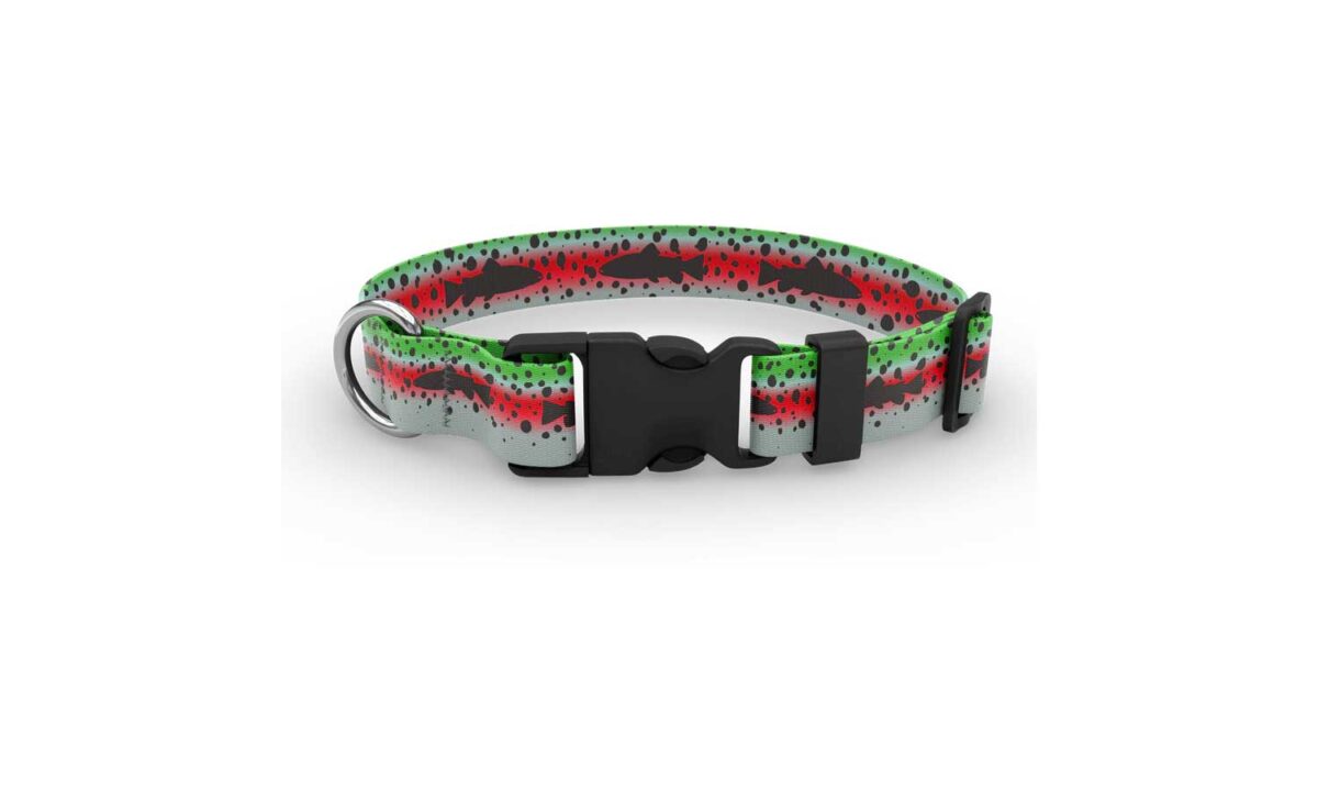 Bighorn Rainbow Trout Dog Collar GIFT UNDER 30 Alaska Fly Fishing
