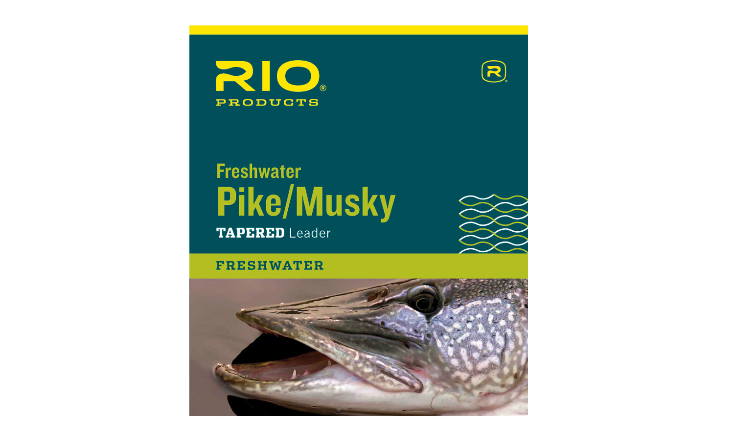 RIO 9' Steelhead/Salmon Knotless Fly Leader - 3 Pack
