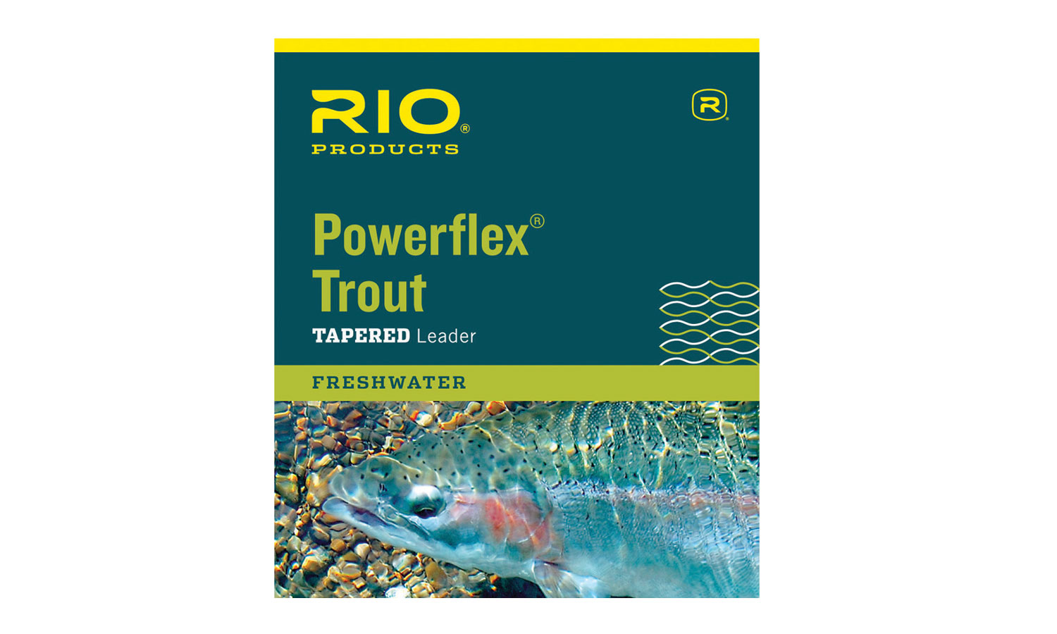 Rio 9 ft Knotless Tapered Trout Leader